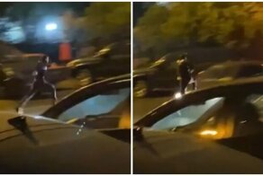 Возомнивший себя львом парень бросился на автомобиль