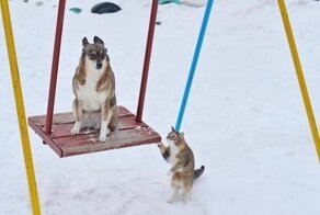 Наша реальность опять сломалась