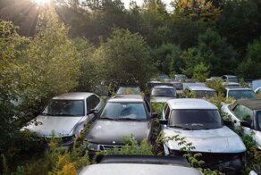 «Вы продаёте Саабов? Нет, просто показываю»: частная коллекция шведских автомобилей ржавеет под открытым небом