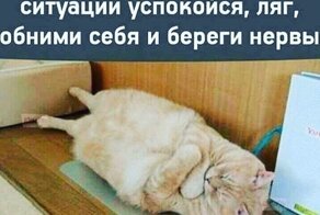 Наташа, мы там всех рассмешили: ученые доказали, что мемы снимают стресс