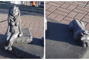 В Кургане женщину-кошку с человеческой грудью постигла судьба воронежской Алёнки