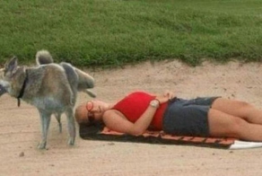 Собаки и их выходки (25 фото)