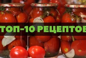 Как приготовить обалденные помидоры на зиму: подборка рецептов
