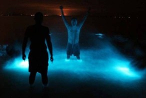 Светящиеся озера Австралии (7 фото)