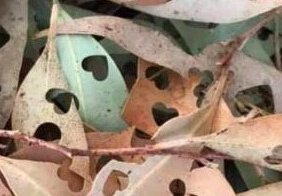 Находчивые люди, которые нашли способы не вредить нашему миру еще больше и минимизировали свои отходы