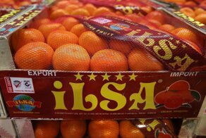 Без паники! Роспотребнадзор приостановил ввоз турецких мандаринов. Но пока не всех