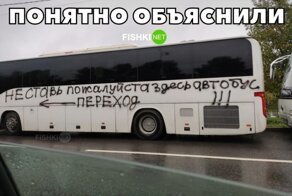 Коллекция автомобильных приколов