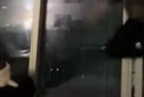 Кот атаковал танцующую тиктокершу