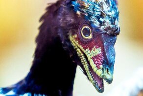 25 безумных фактов о существах и вещах, созданных в лаборатории