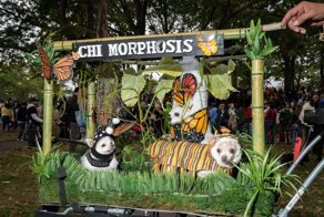 Парад похитителей ваших сердечек