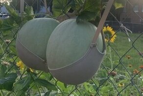 15 умных решений от бытовых гениев