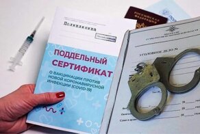 Поле чудес: с лета теневой рынок сертификатов-фальшивок в России вырос в 20 раз