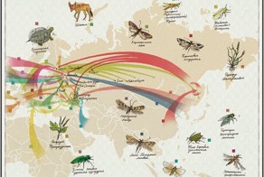 Виды на жительство (16 фото)