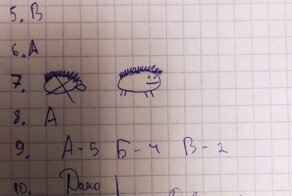 Учительница из Тюмени предложила студентам нарисовать в контрольной котика - справились даже двоечники