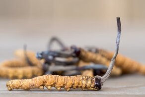 Топ-10 вещей, которые по своей сути дороже золота
