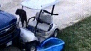 Когда ты ну очень плохой мальчик