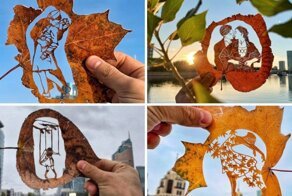 Засохшие листья — это тоже искусство