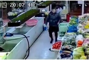 Эффектное возвращение сбежавшей рыбы в аквариум