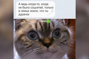 О людях, которые на 100% зависят от социальных сетей