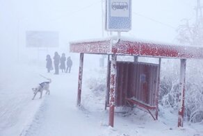 Почему в Южном полушарии нет такой же суровой зимы, как в странах Северного полушария?