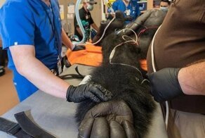 20 привычных для всех вещей, нетипичные размеры которых поражают