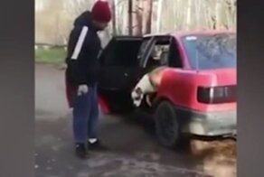 "Взять ее!": автомобилист в Мытищах натравил бойцовую собаку на девушку, которую едва не задавил