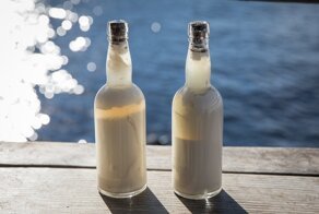 Из России, со дна: интересные археологические находки в водах нашей страны