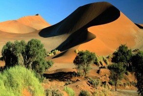 Красивейшие фотографии дюн (34 фото)