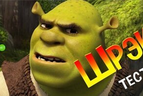 Тест по мультфильму "Шрэк"