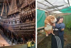 Всё в мире познается в сравнении: 40 удивительных фотографий