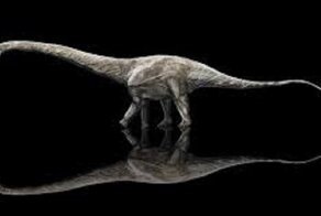 Ученые нашли самого большого динозавра