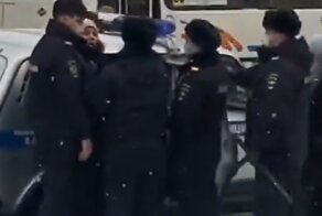Четверо стражей порядка с трудом "упаковали" антимасочницу в служебный автомобиль