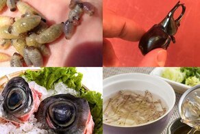 Самые ужасные блюда Японии: когда лучше есть с закрытыми глазами