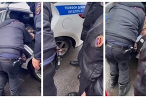 В Питере на глазах у матери пятеро полицейских упаковывали в машину, кричащую от боли и страха школьницу