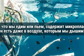 27 мрачных фактов, которые сразу же хочется забыть