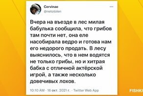 Лучшие из лучших: подборка самых убойных обманов