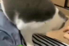 Не скучай, мы уже идем!