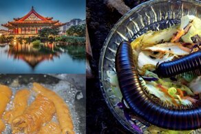 Салат из сороконожки и толстая кишка гуся: небольшой экскурс по странным китайским блюдам