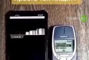 Телефон пищал не просто так