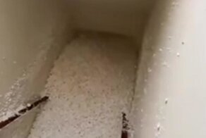 Детские мечты сбываются