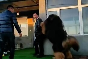 Не бойся, он не кусается