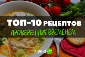 Вкусно и полезно: рецепты супов, которые рекомендуют всем