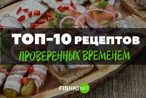 Лучшие рецепты закуски, которые оценят настоящие ценители