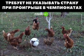 По стопам Кадырова: 13 запретов, которые теоретически тоже могут стать новыми законами