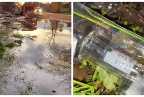 В Краснодаре на помойке обнаружили партию вполне актуальной вакцины