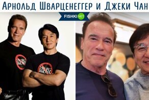 17 звезд, которые воссоединились спустя годы, доказав всем, что легенды не забываются