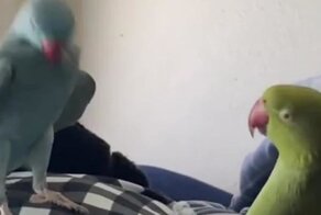 Синхронизация прошла успешно