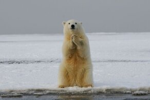 20 фактов, о которых большинство людей предпочтет ничего не знать