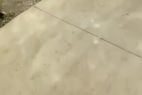 Тайна водосточной трубы