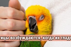 20 безумных фактов, о которых лучше не знать